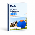 Herding Ball Training Guide