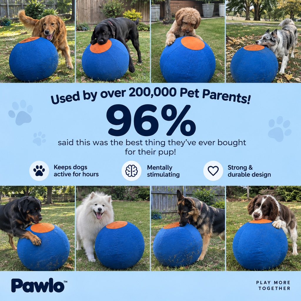 Pawlo™ Herding Ball