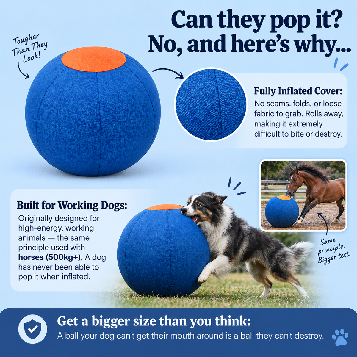 Pawlo™ Herding Ball