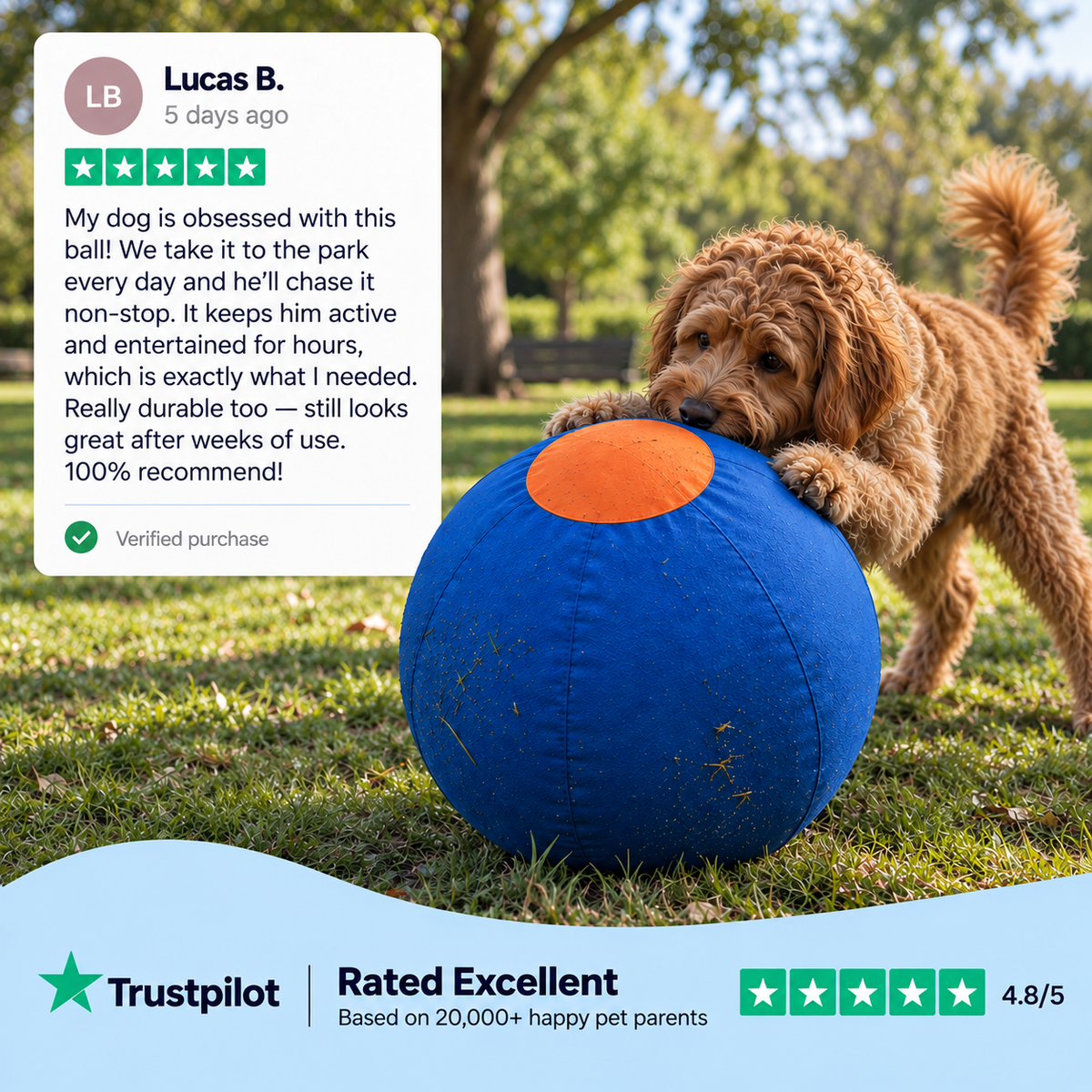 Pawlo™ Herding Ball