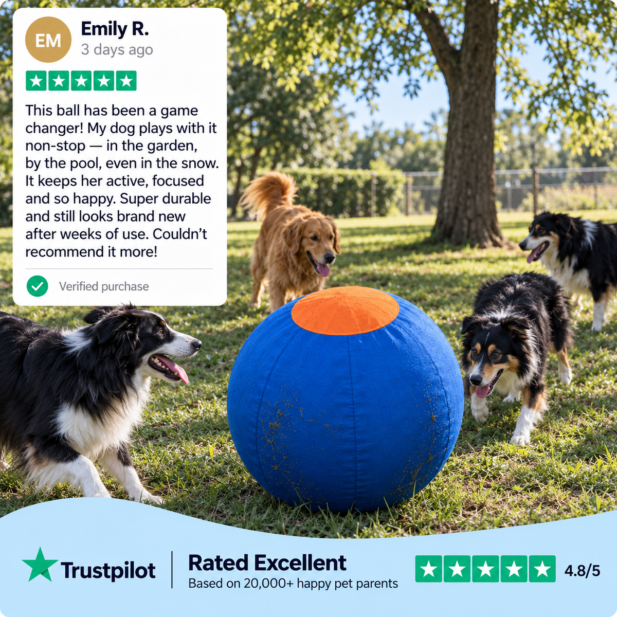 Pawlo™ Herding Ball