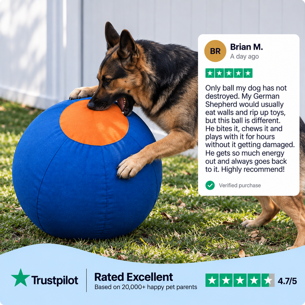Pawlo™ Herding Ball