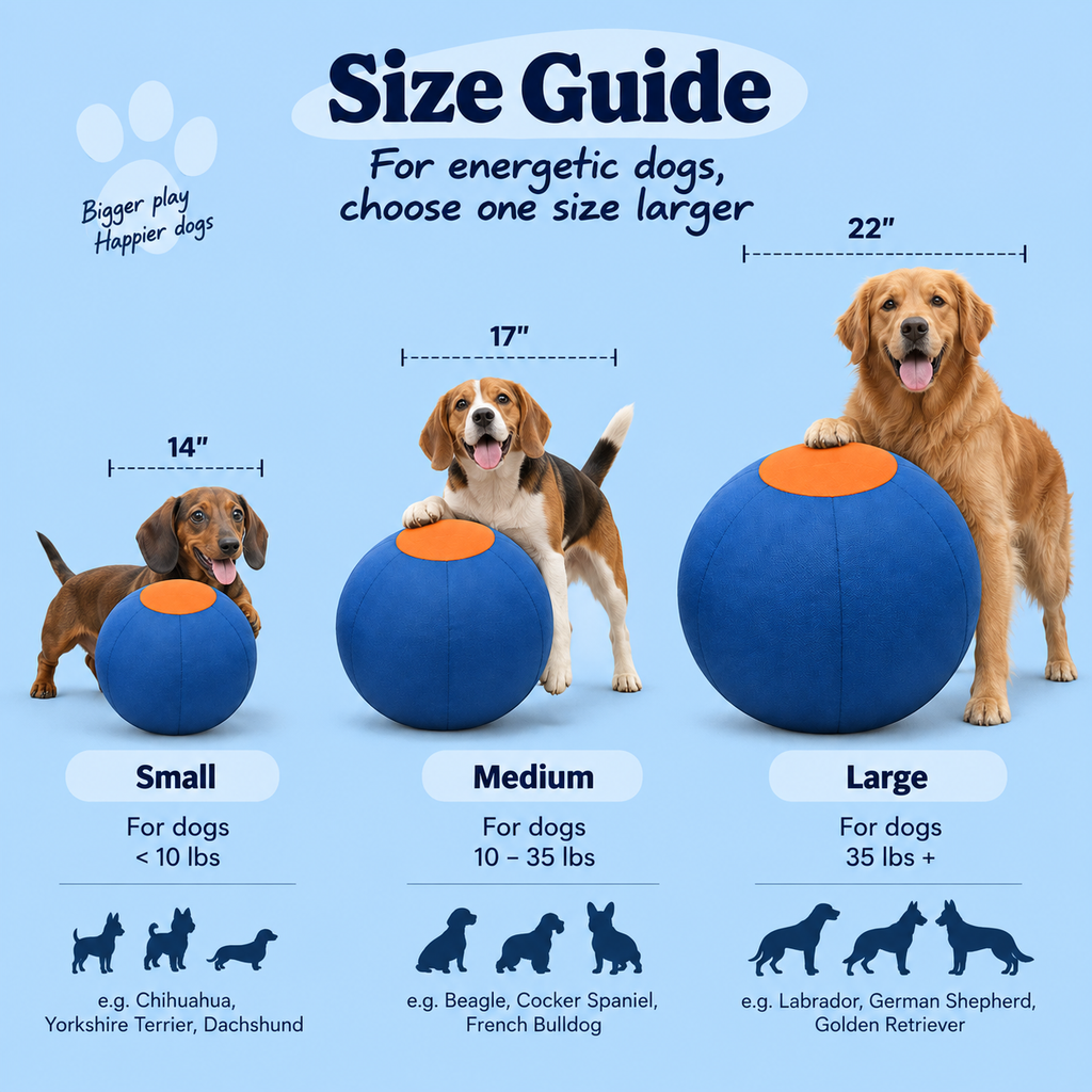 Pawlo™ Herding Ball