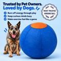 Pawlo™ Herding Ball