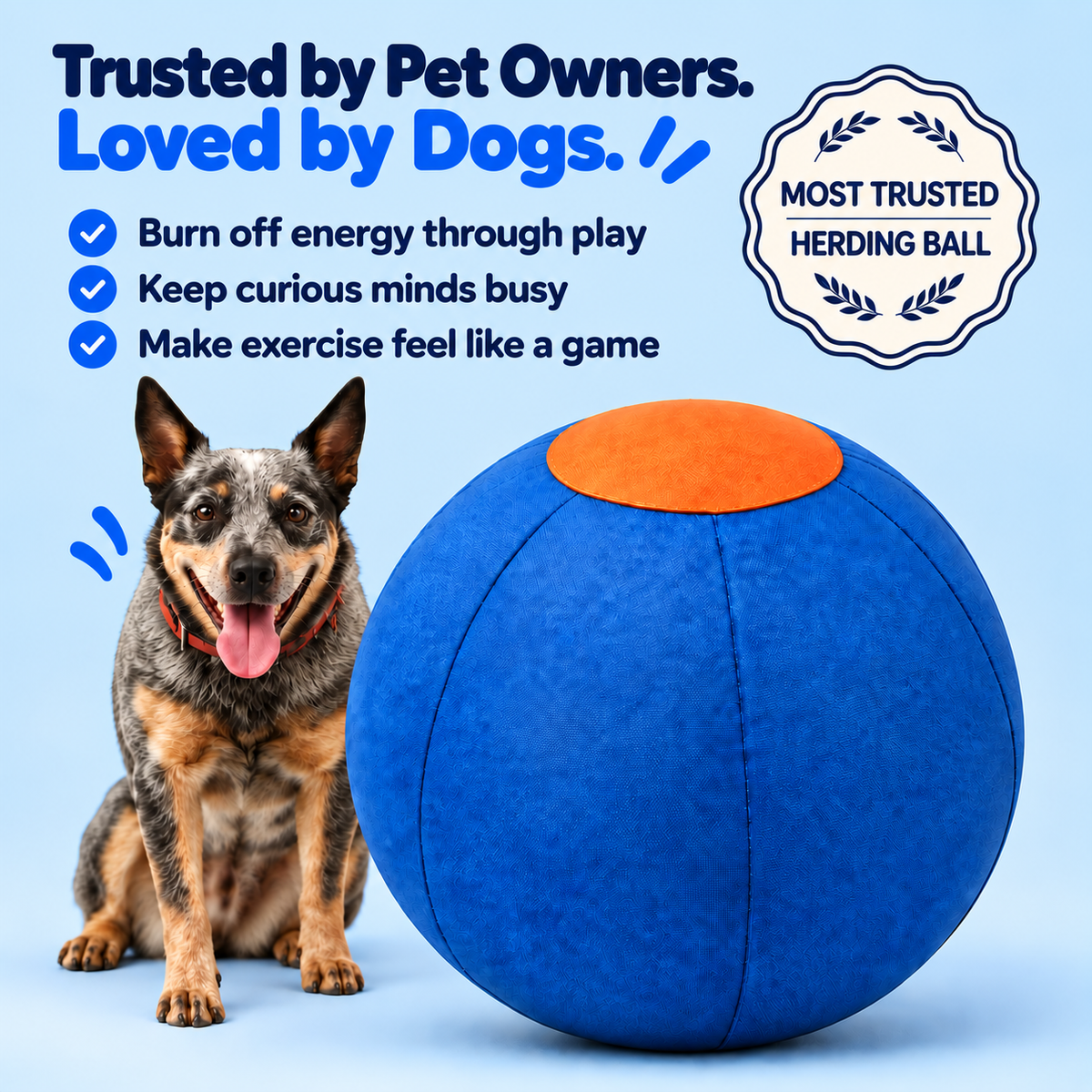 Pawlo™ Herding Ball